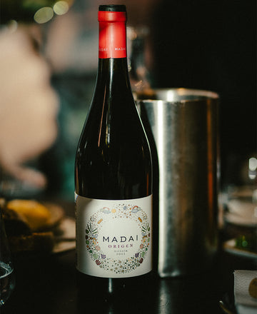 Madai Origen Mencia: Ett kärleksbarn