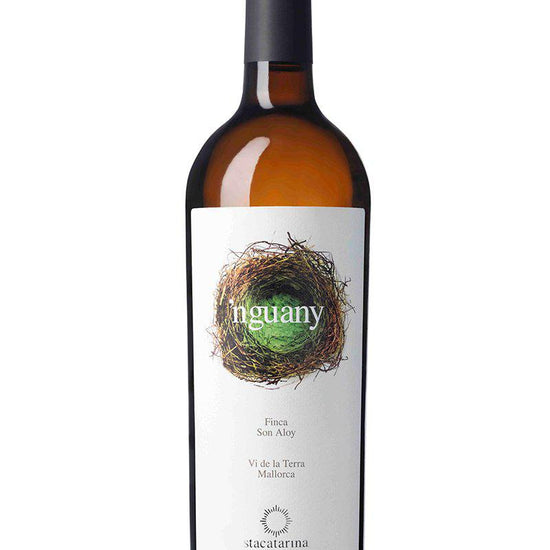 Santa Catarina Nguany White
